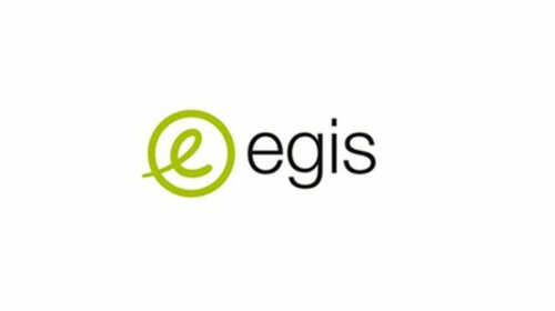 EGIS INDUSTRIES 